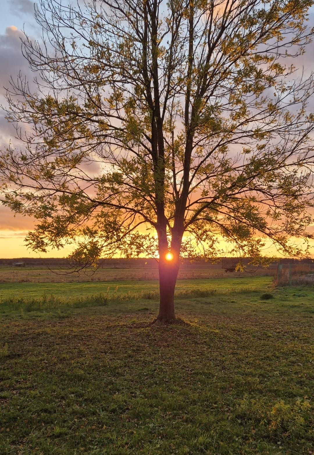 Sterbebegleitung im vertrauten häuslichen Umfeld